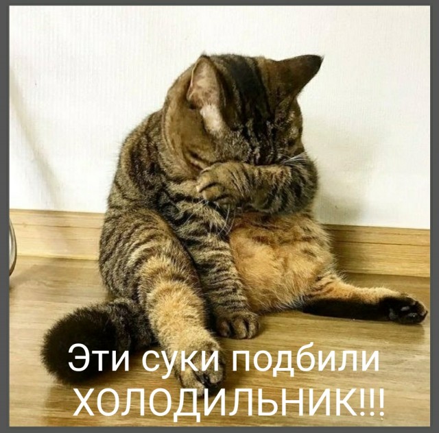 В Нижнем Тагиле с полигона «Уралвагонзавода» танковый снаряд попал в дачный дом