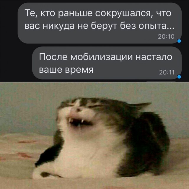 Весёлый полтишок 02.10.22