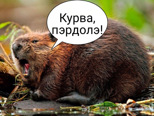 Атомную энергетику переводят на отечественные компьютеры "Бобёр"