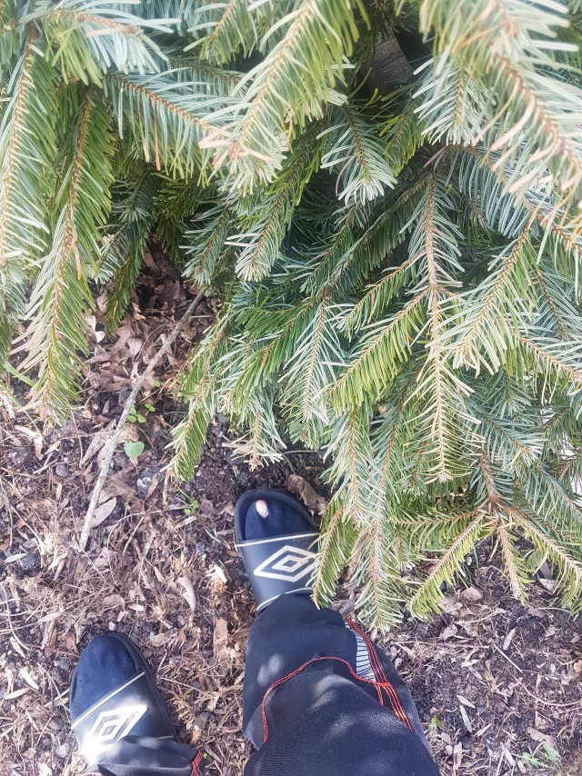 Взлом компьютера par9