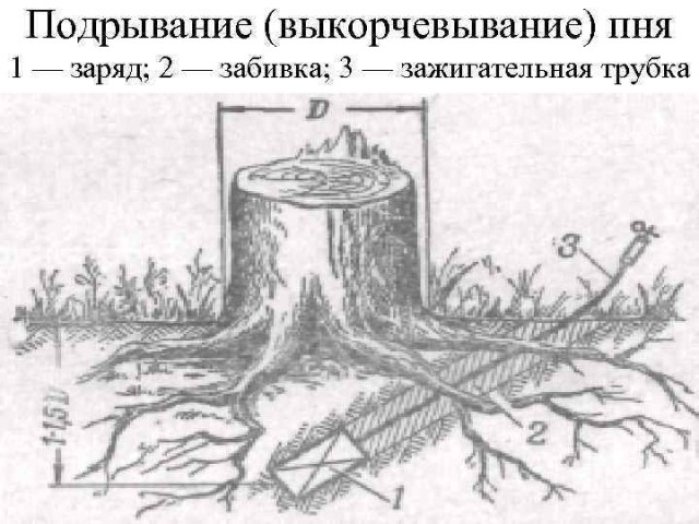 Моя борьба