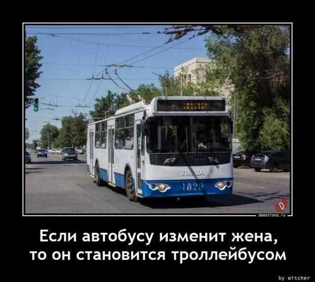 55 разных картинок для настроения - 5