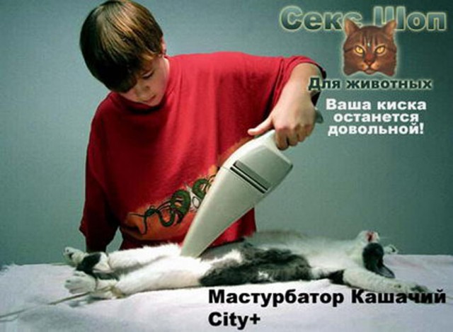 Прикольные и просто красивые картинки 14.07.2023
