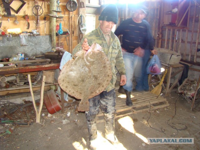Один апрельский 2010г день в Абхазии