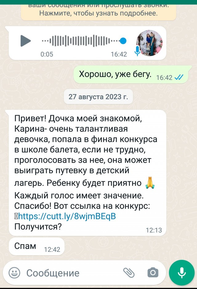 Не голосуйте за «племянницу»