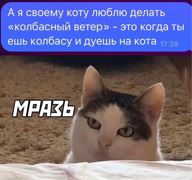 Отряд быстрого деградирования