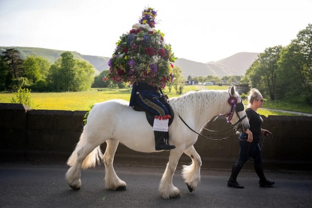 Подборка интересных и веселых картинок 13.02.24
