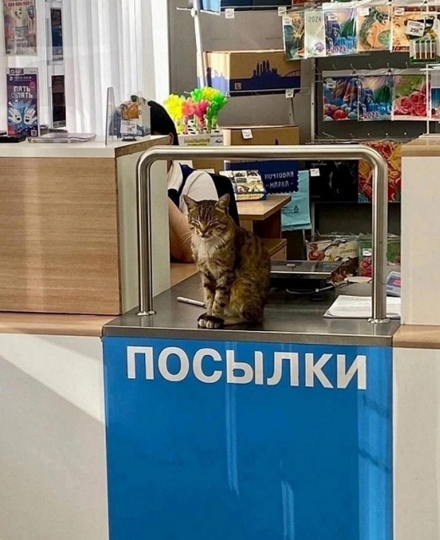 Всего понемногу. От 17.04.24.