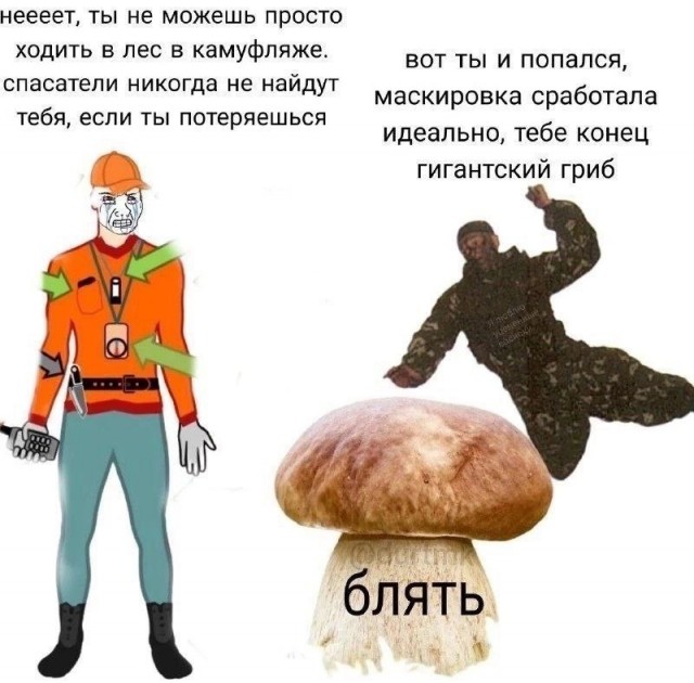 Нуштош 18.05.2024