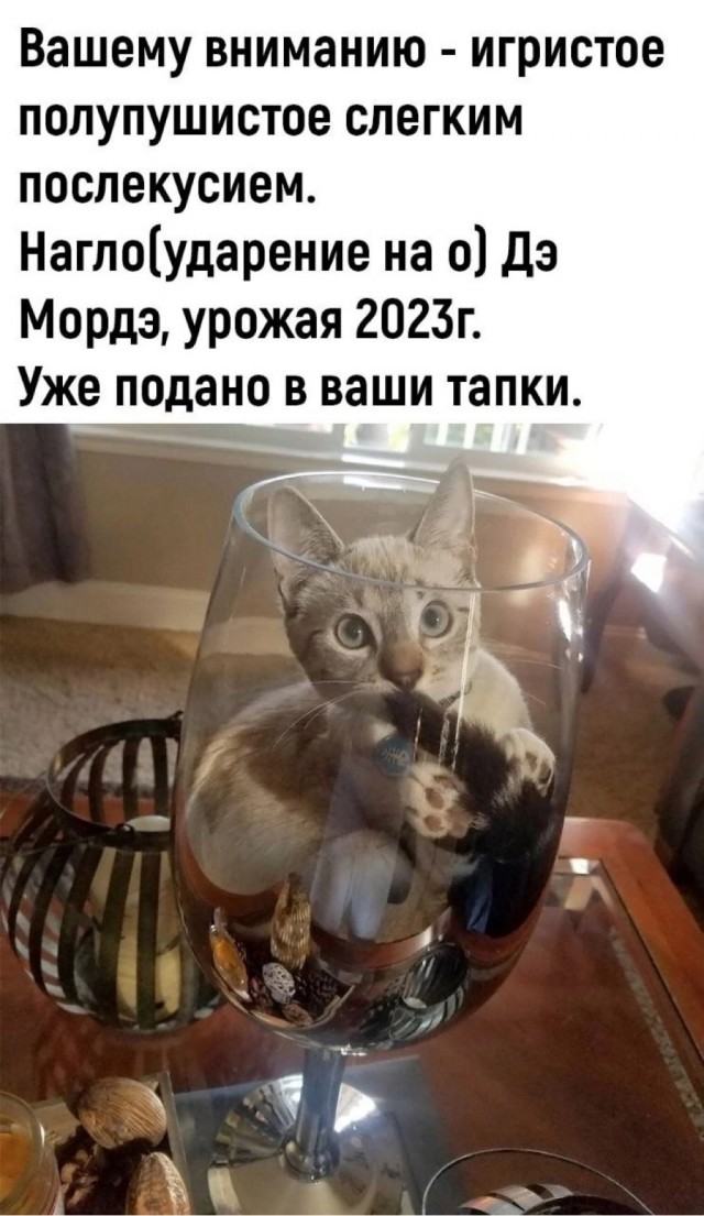 Всего понемногу. От 24.06.2024
