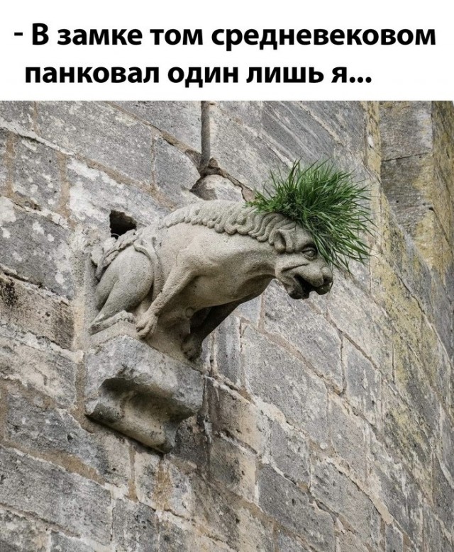 Завалялось тут случайно немного забавных картинок