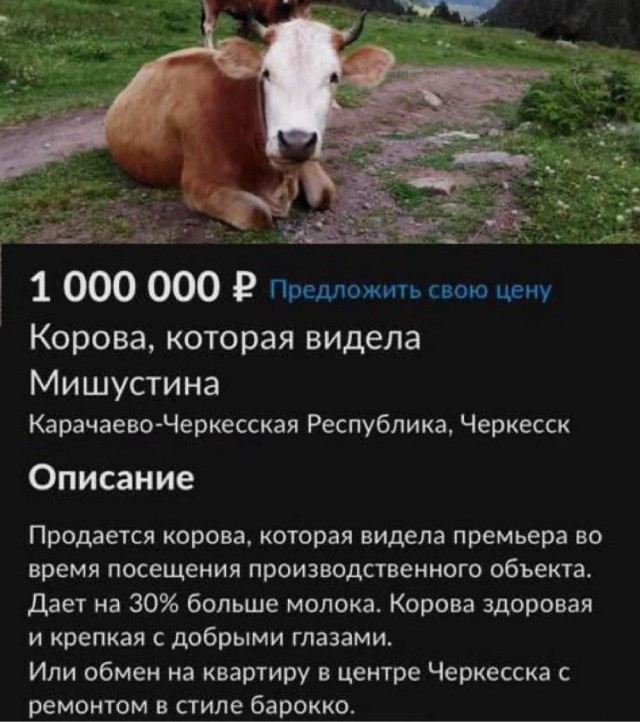 Фальшфасады к приезду Мишустина