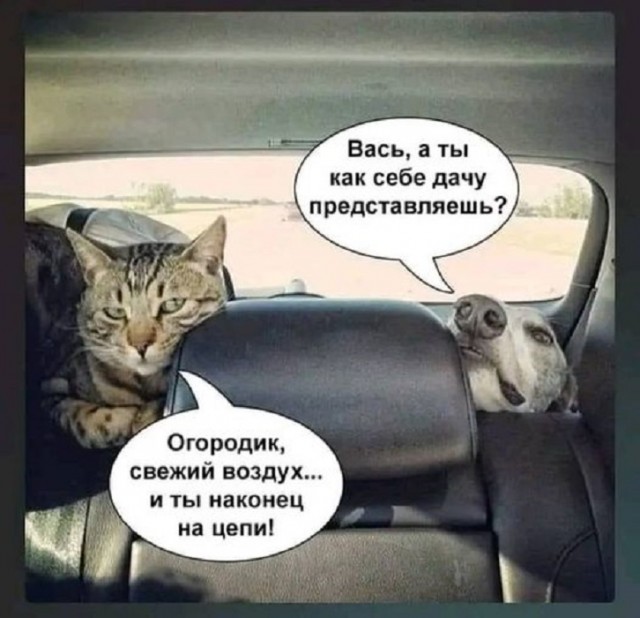 Картинки разные с надписями и без