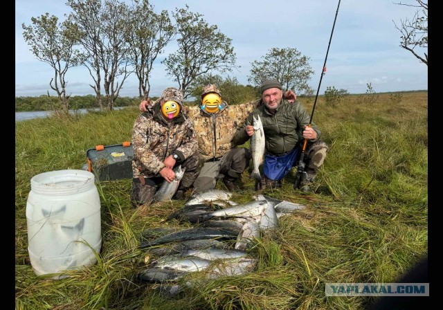 Сгонял на Камчатку