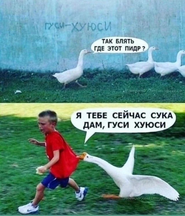 Всего понемногу. От 27.09.24