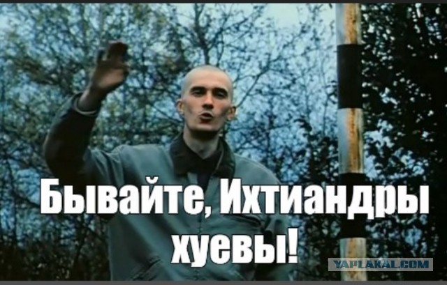 Черный "Рендж Ровер" с бородачами пробил ограждение и рухнул в ледяную Фонтанку в центре Санкт-Петербурга