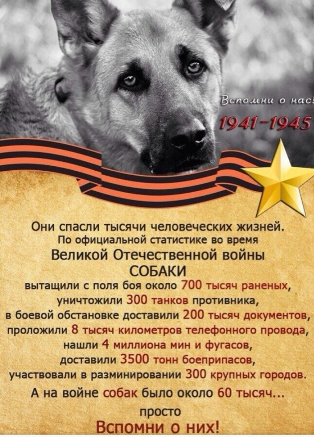 За службу в спецназе