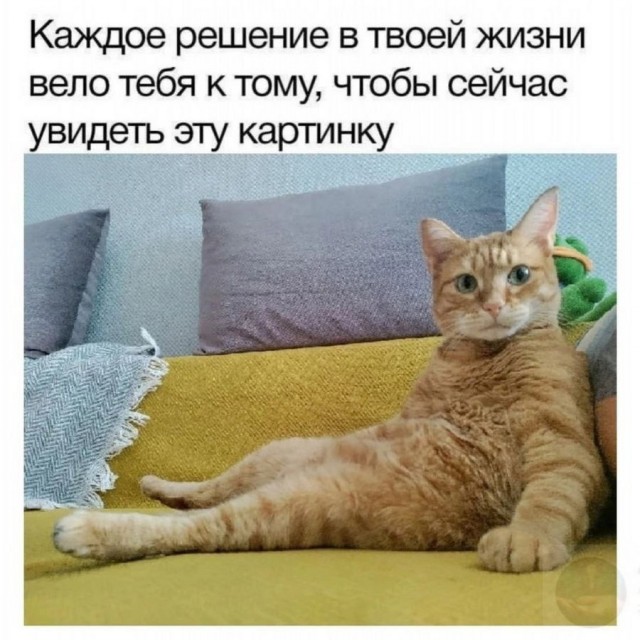 Доставка новостей