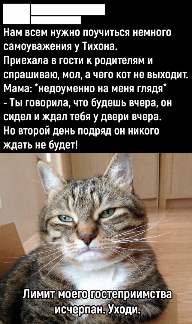 Так себе картинки 07.07.25