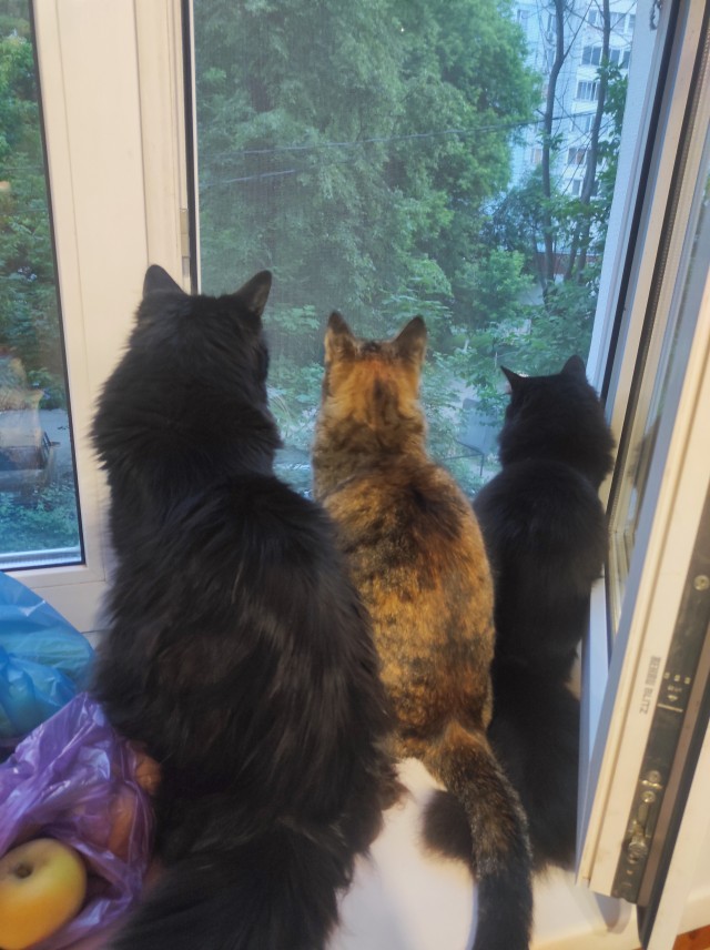 Заряд позитива: взгляните на 25 самых забавных снимков