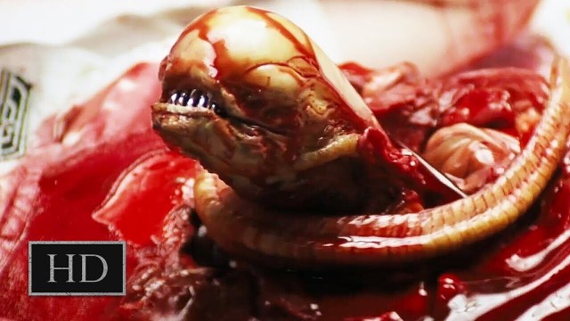 Чужой и Хищник с точки зрения биологии