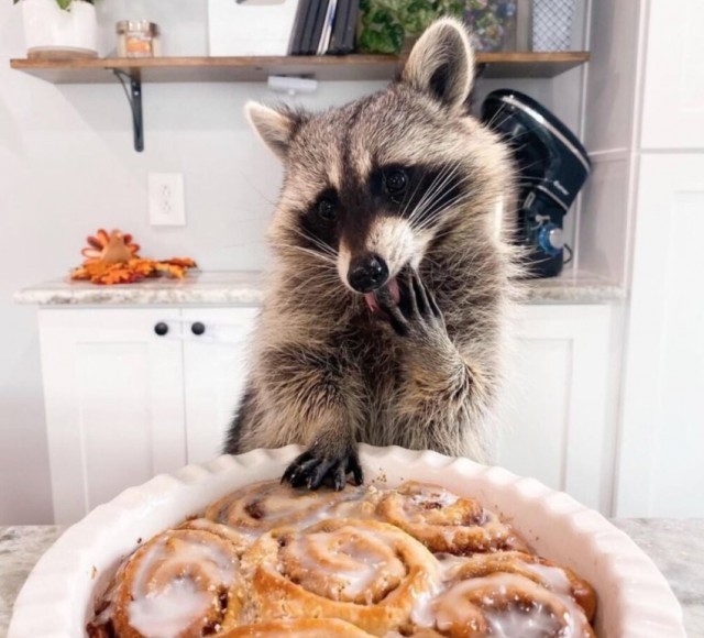 Эх пятницо картинки же