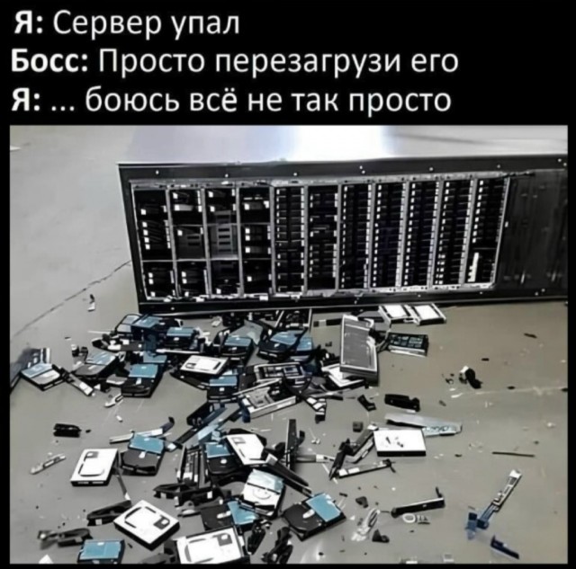 Веселые картинки в маленькую пятницу (05.11)