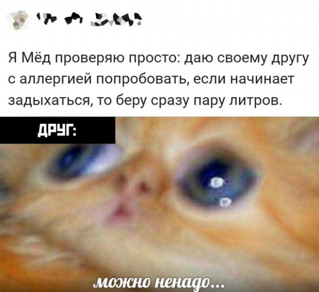 Веселые картинки в пятницу (14.11)