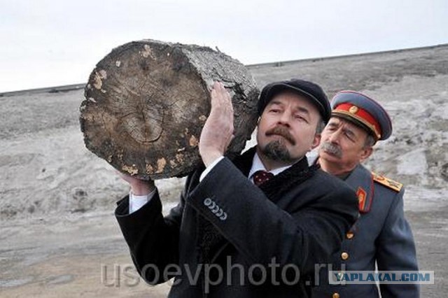 К рассвету вернуться не успел