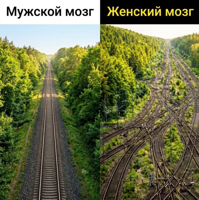 Картинки для деградации 197 (разной степени свежести)