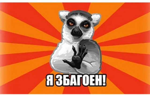 Лемур принимает солнечные ванны