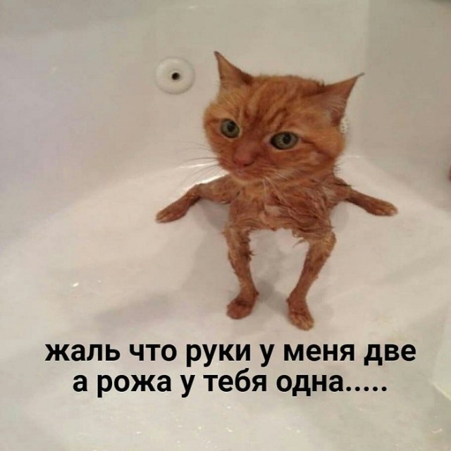 Просто для хорошего вечера