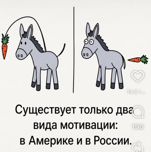 Отсутствие морально этических норм Vol.89