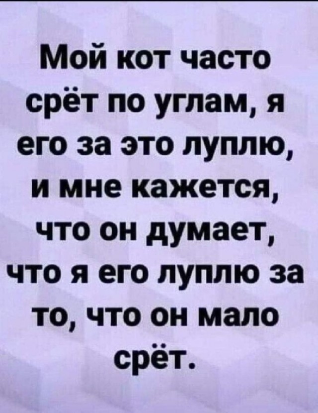 Картинки на среду