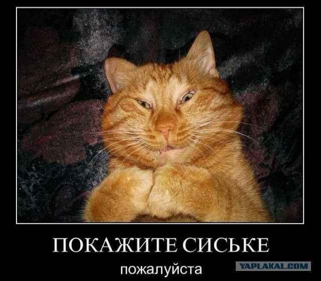 Ребята залипли