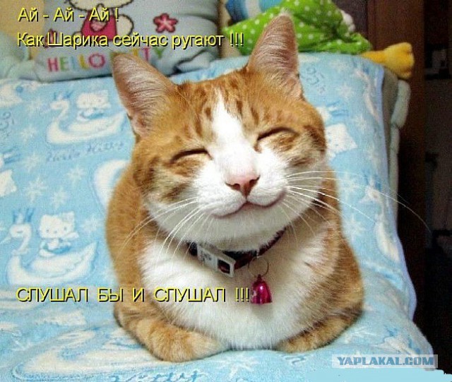 Раскорячило!