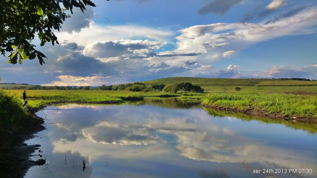 Природа Приморского края