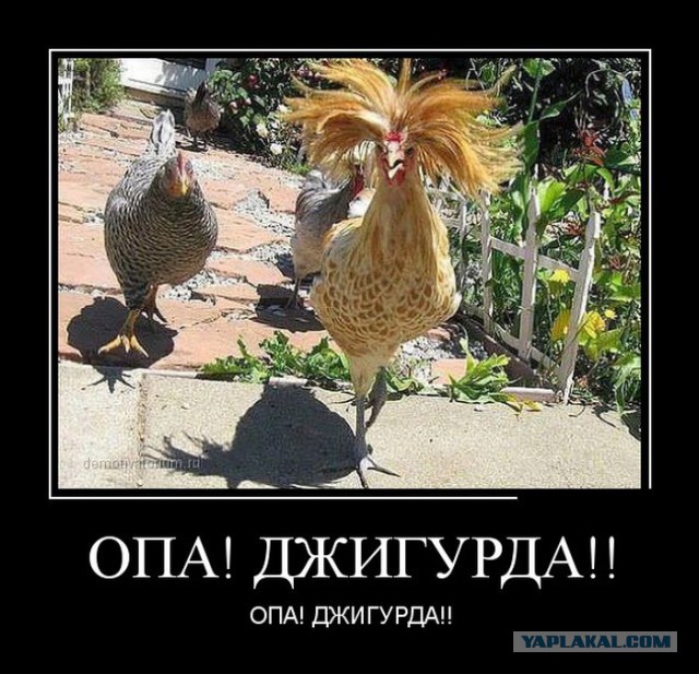 Позитивные картинки