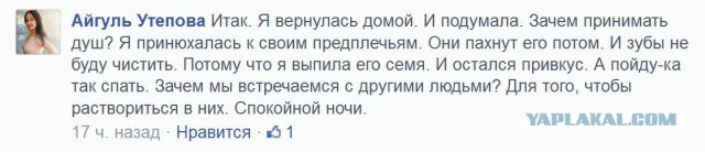 Дождалась