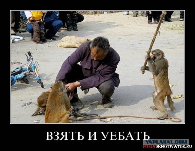 Улыбнуло часть "2"
