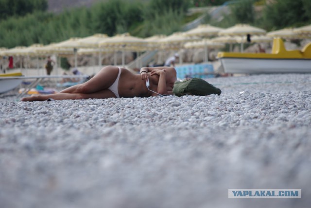 Фотоохота на дичь