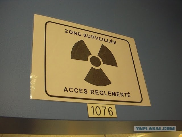 Protein Diggers или Где добывают белОк биохимики