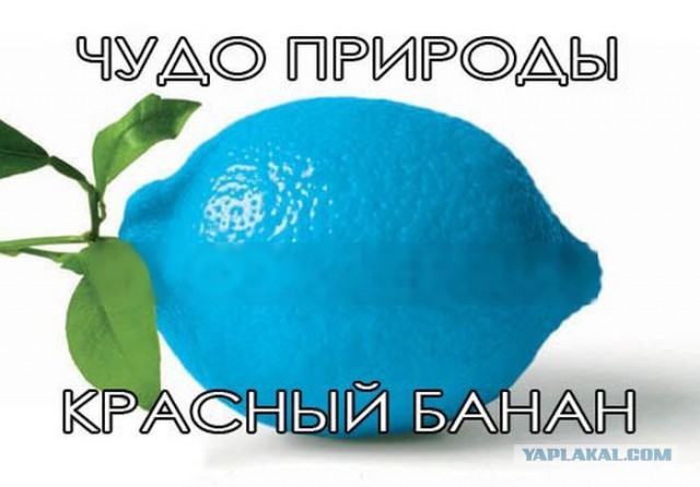 Веселые картинки