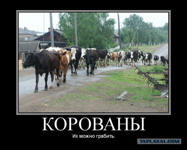 7 людей, которых было невероятно сложно убить!