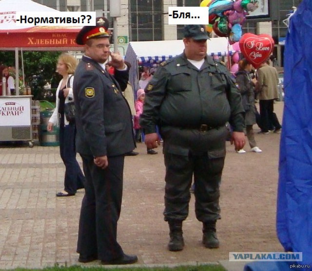Упал-отжался. Что нужно уметь в армиях