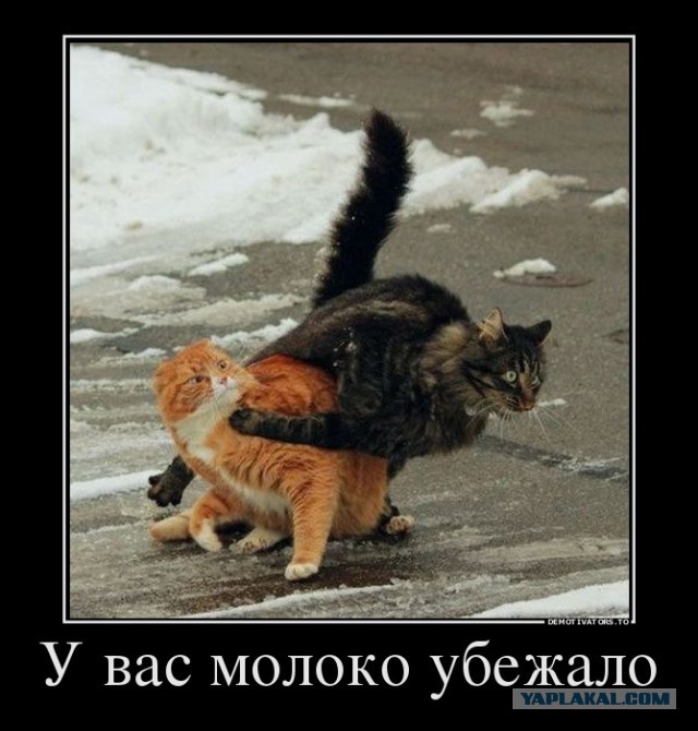 Картинки с буквами -11