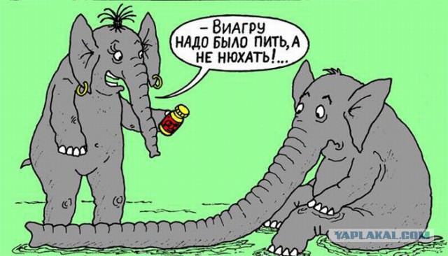 Черный юмор из социальных сетей
