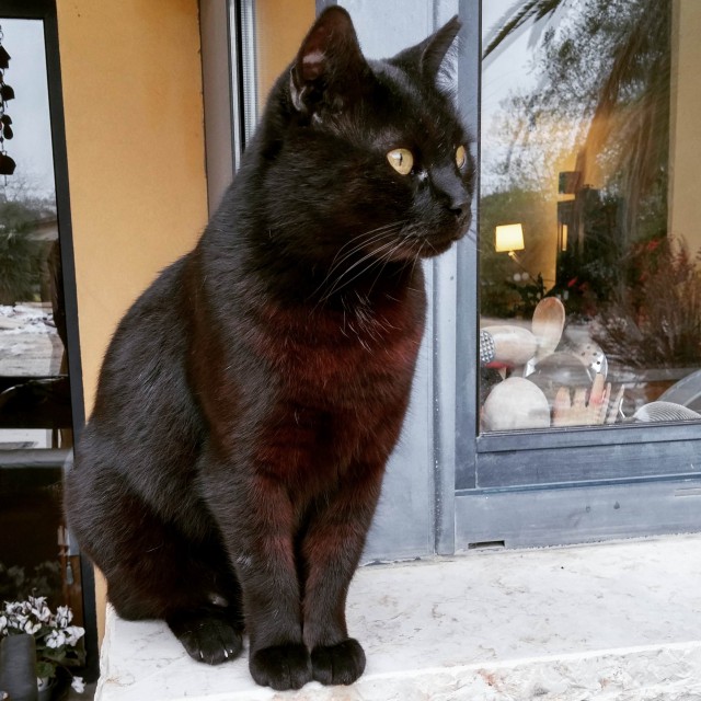 10 интересных фактов о христианстве