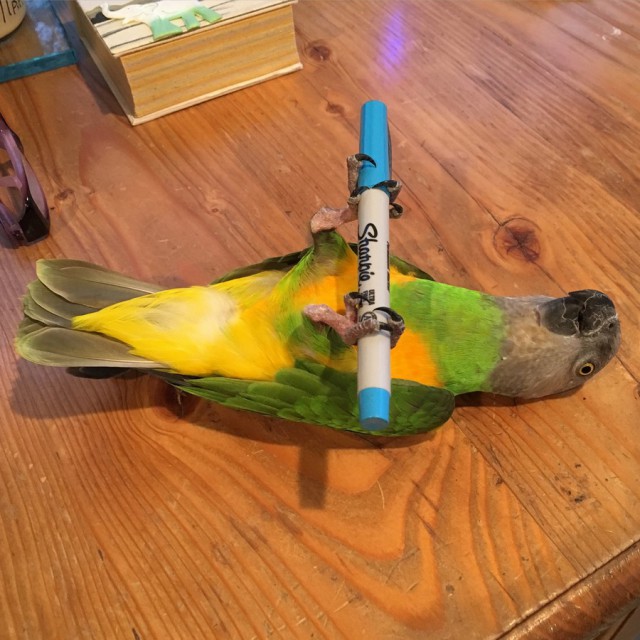 Подборка красивых фото