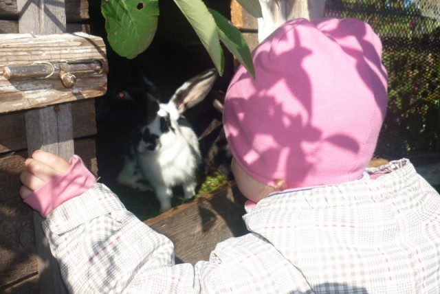 Интересные моменты из жизни  деревни